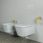 Держатель для туалетной бумаги с крышкой Ideal Standard CONCA T4496A2