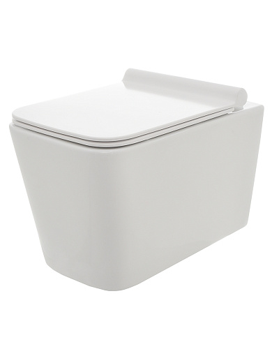 AQM2003 Унитаз подвесной AQUAme с сиденьем SoftClose, технология смыва Rimless, скрытый крепеж. 530x365x360