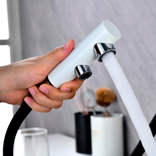 Смеситель PAULMARK SERPENTINE Se213222-431, (белый/белый матовый)