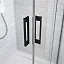 Душевая дверь Radaway Idea Black DWD 190x200