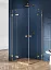 Душевой уголок New Trendy AVEXA GOLD 120x110x200 (var 2)