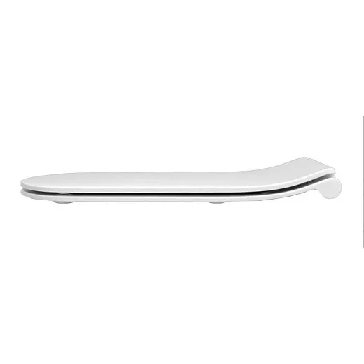 Крышка-сиденье Roca Dama Senso ZRU9302991 с микролифтом