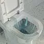 Унитаз напольный компакт VitrA Zentrum с сиденьем микролифт, санитарный фарфор, антибактериальное покрытие Hygiene, белый, 9012B003-7209