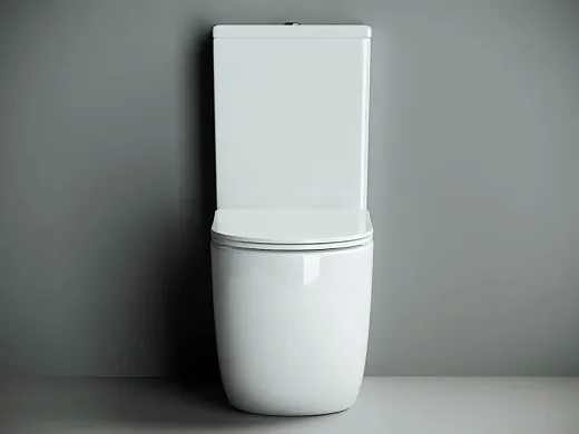 Напольный безободковый унитаз Ceramicanova Metropol CN4001 Rimless, крышка микролифт, сантехфарфор
