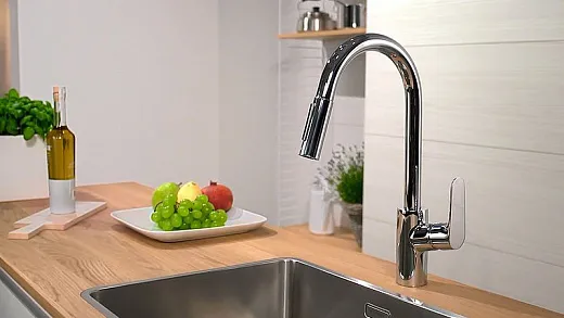 Смеситель Hansgrohe Focus 31815000 для кухонной мойки